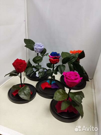 Роза в колбе оптом и в розницу