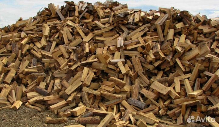 Дрова Береза