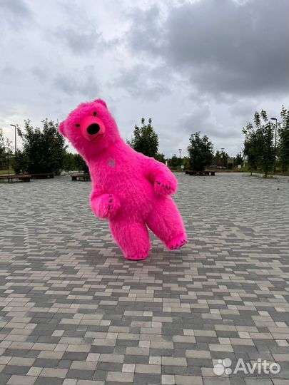 Белый мишка поздравление, Панда, шоу звёзд