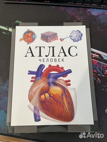 Атлас анатомии человека (атлас человека) Баранов