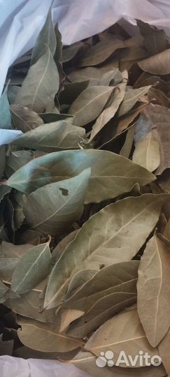 Лавровый лист специи