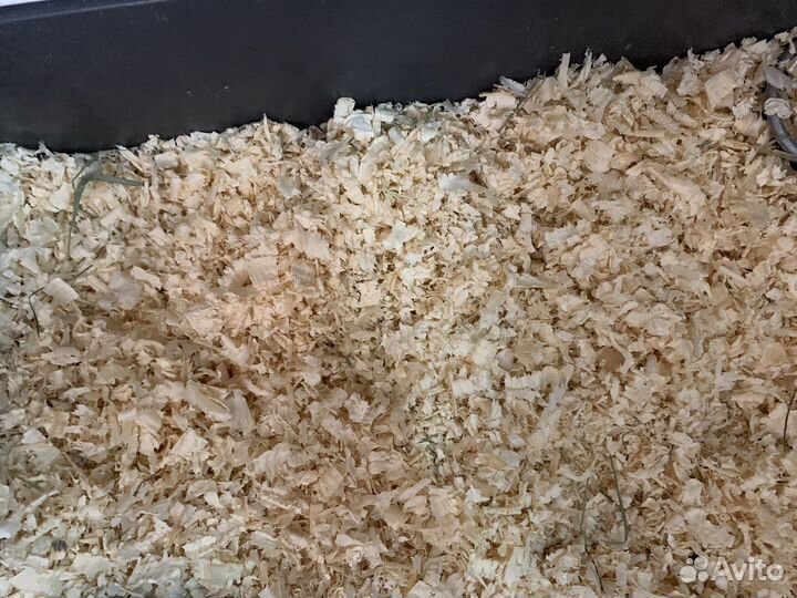 Сухие опилки в мешках