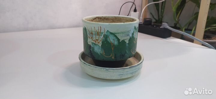 Керамические горшки для цветов
