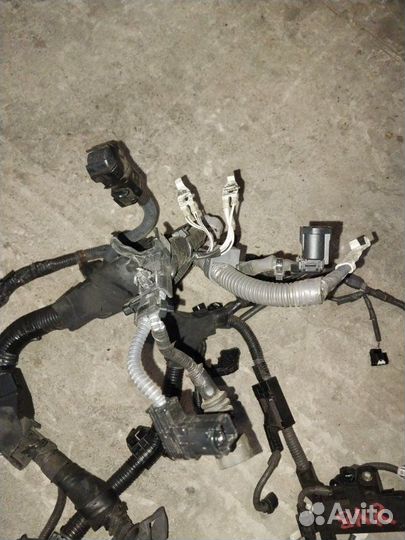 Коса двс Toyota C-Hr NGX50 8NR