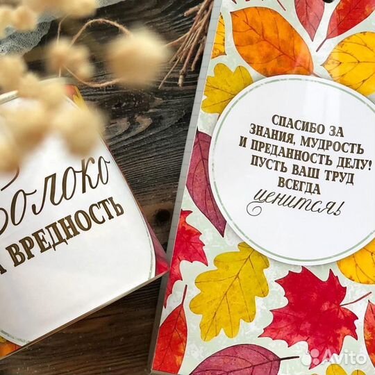 Набор для учителя