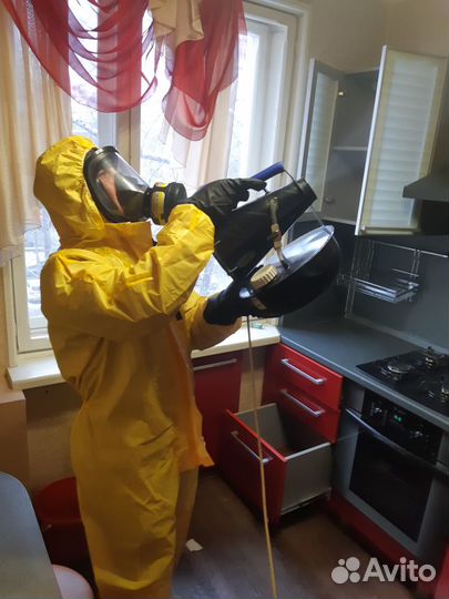 Уничтожение тараканов клопов блох муравьев клещей