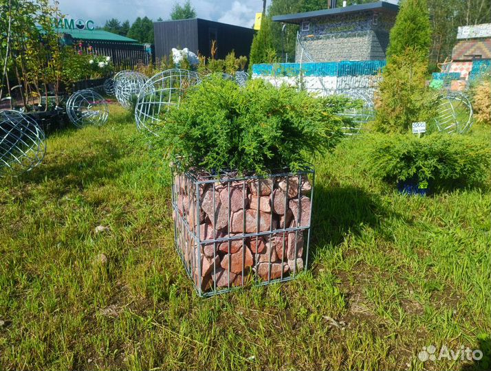Клумба из габиона с наполнением