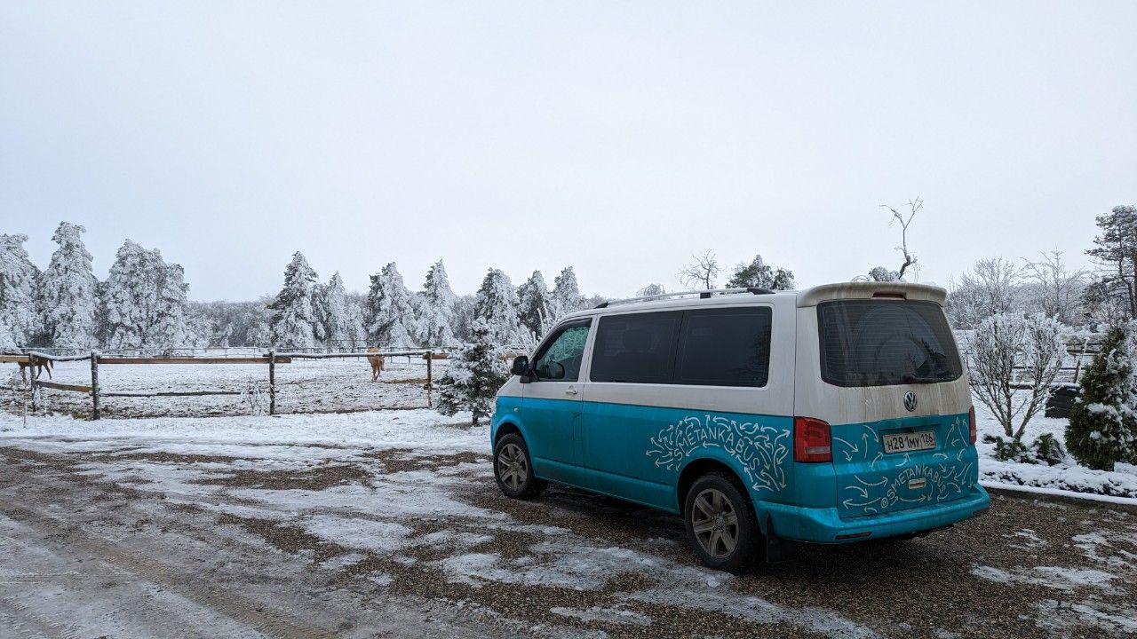 Volkswagen Caravelle: фото владельца