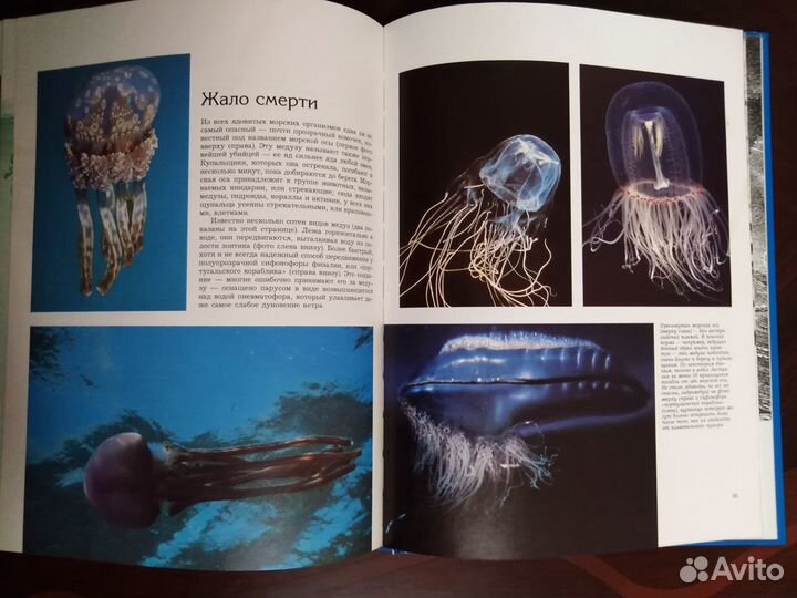 Мир животных