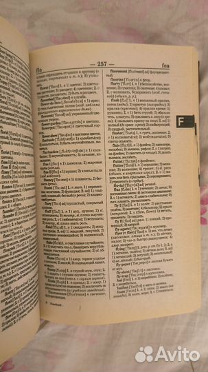 Англо-русский русско-английский словарь