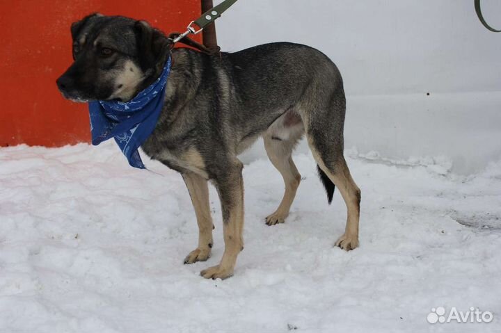 Ярик нуждается в любящем его человеке