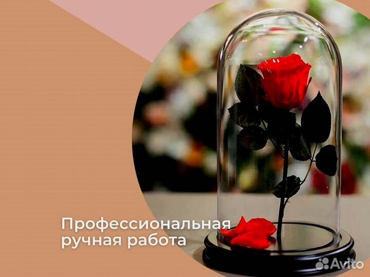 Розы в колбе разные