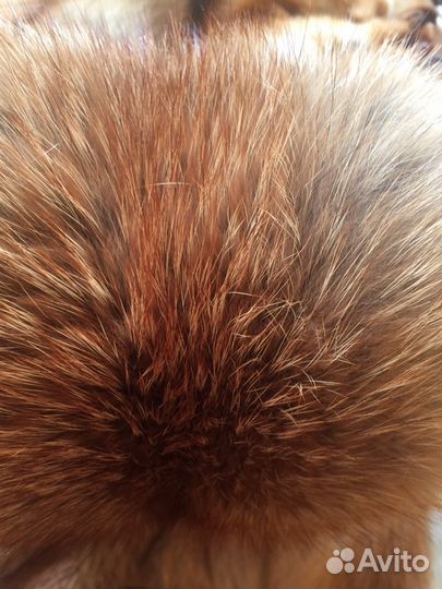 Лисьи шкуры