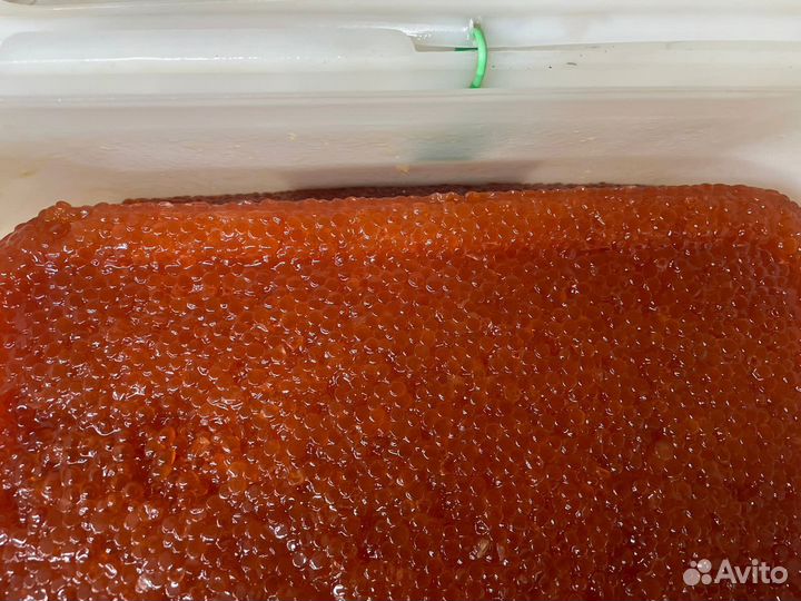 Красная икра оптом