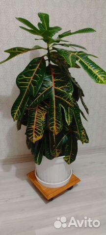 Подставка для цветов напольная деревянная