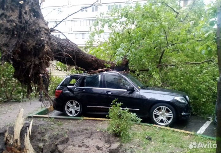 Юрист в сфере жкх