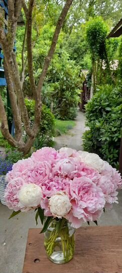 Коттедж 25 м² на участке 10 сот.