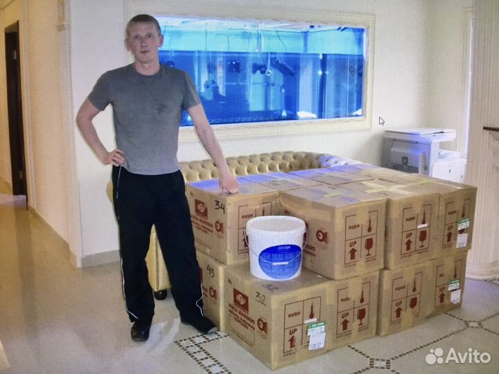 Обслуживание аквариумов