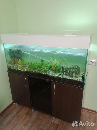 Аквариум с тумбой, 250 литров