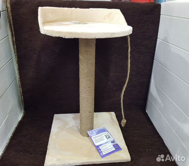 Когтеточка