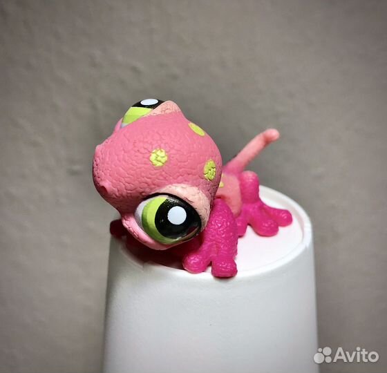 Ящерица лпс