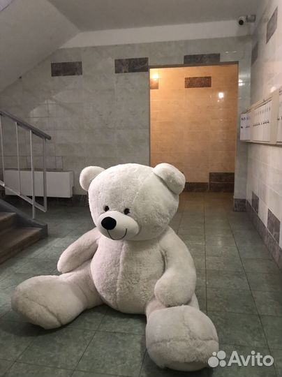 Плюшевый мишка