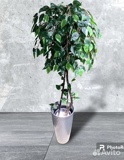 Искусственные растения для декора