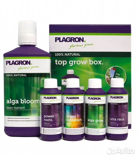 Plagron Стартовый набор Top Grow Box 100 Natural