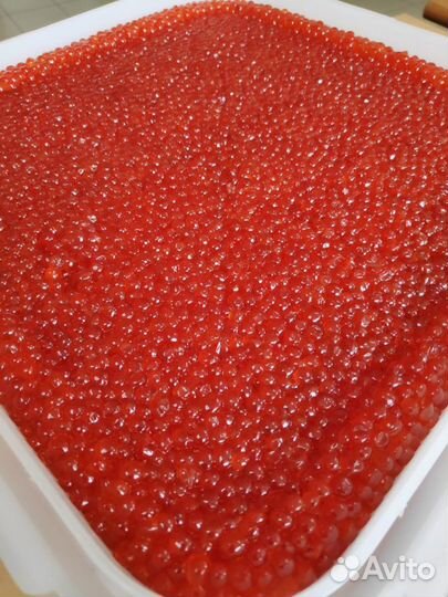 Икра красная кеты