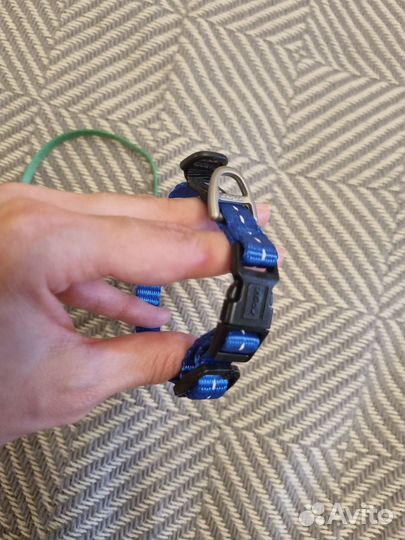 Новые ошейники для кошек + шампунь комплектом