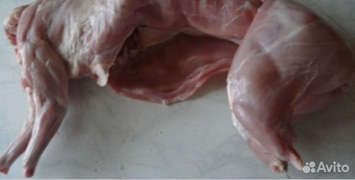 Мясо кролика