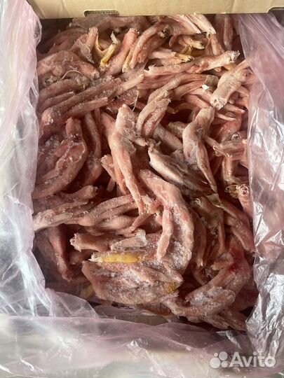 Мясо для собак, субпродукты