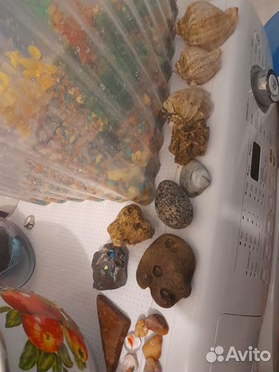 Грунт,водоросли