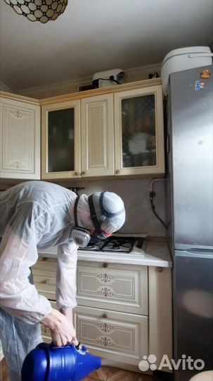 Уничтожение клещей, кротов, ос, тараканов, клопов