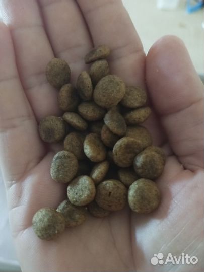 Сухой корм для собак vetlife