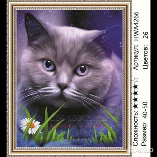 Алмазная мозаика 40x50 Большой серый кот и ромашка