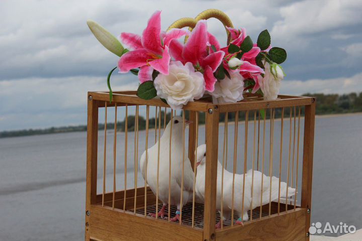 Голуби белые на праздник