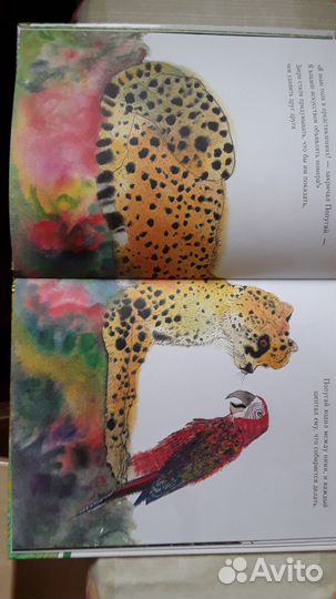 Книга.Праздник в джунглях