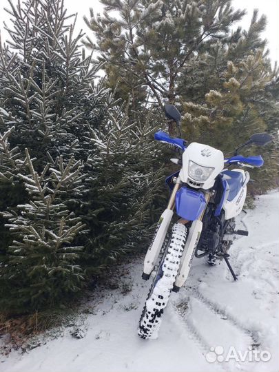 Irbis ttr250