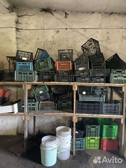 Ящики для овощей и фруктов