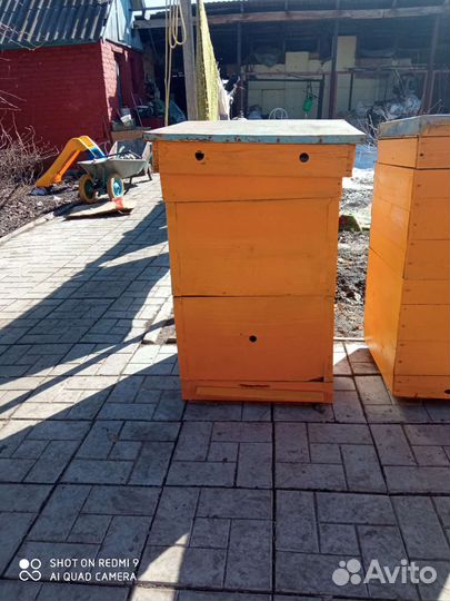Продам ульи для пчел