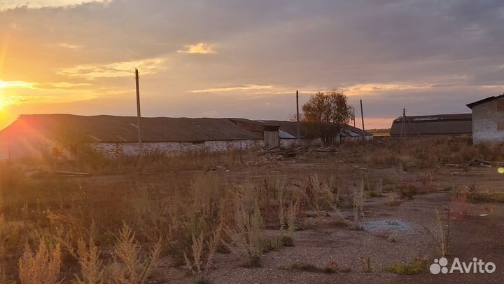 Продажа кфх