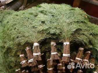 Свежие веники авито