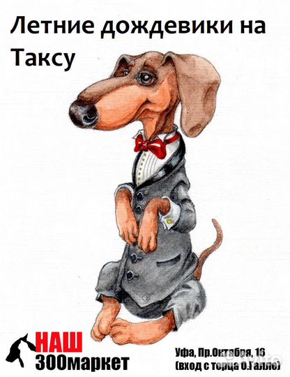 Дождевики для Собак мелких и средних пород