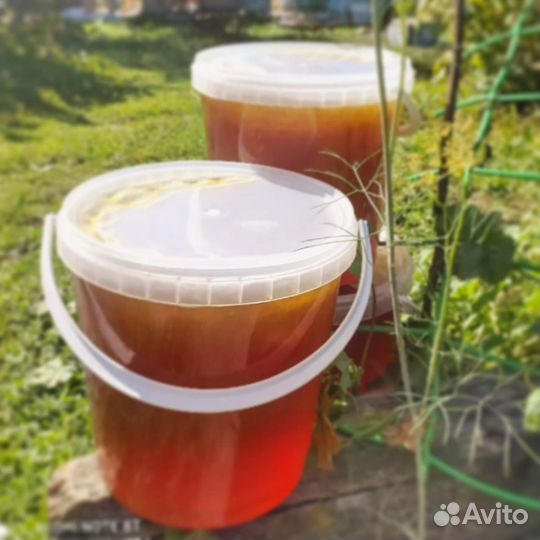 Мёд Алтайский, таёжное разнотравье