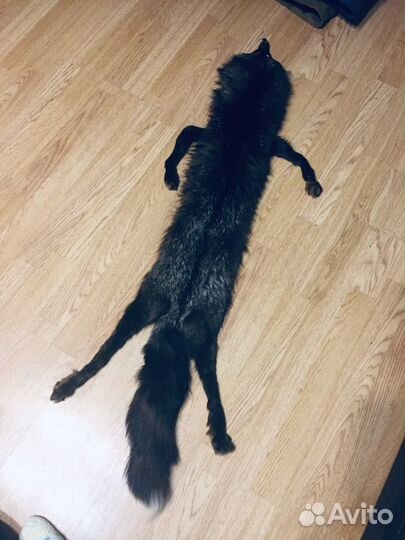 Лиса чулком с глазками