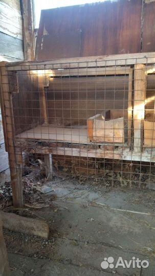 Клетка для домашнего кролика