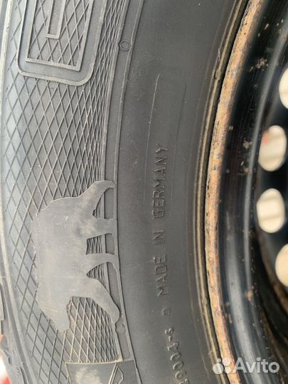 Gislaved Frost 195/55