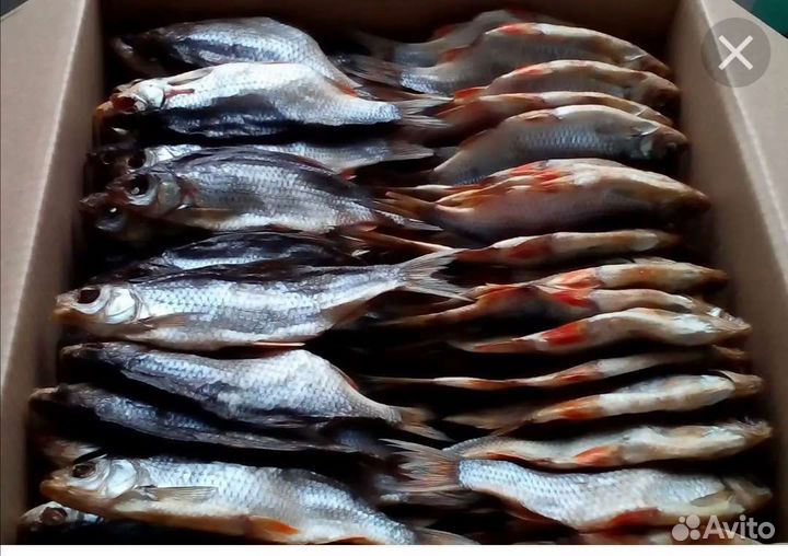 Таранка, вяленная рыба