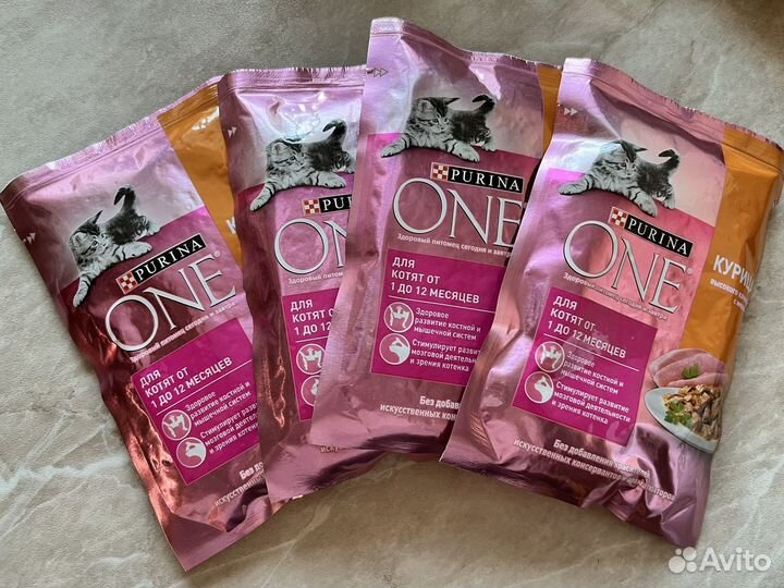 Корм для котят